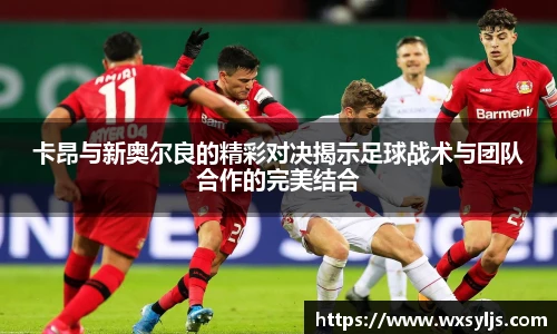 XK体育
