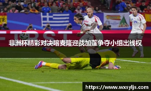 非洲杯精彩对决喀麦隆迎战加蓬争夺小组出线权