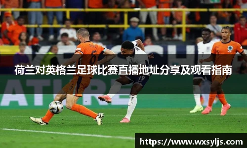 XK体育